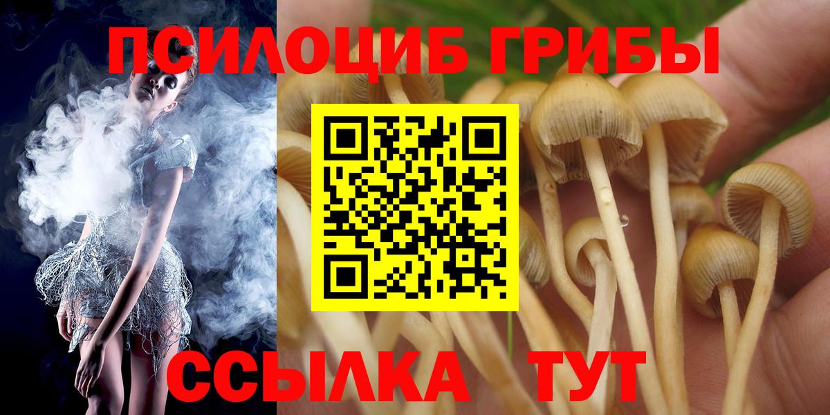 где купить наркоту  Вход с VPN  Кашира  Галлюциногенные грибы мицелий 