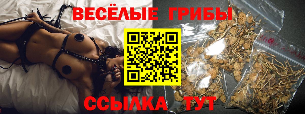 Галлюциногенные грибы Psilocybe Кашира