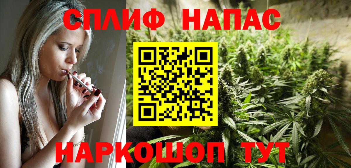 А ПВП Кашира